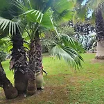 Les Jardins Du Patriarche 호텔 아그