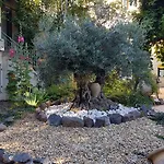 Les Jardins Du Patriarche 2* Agde