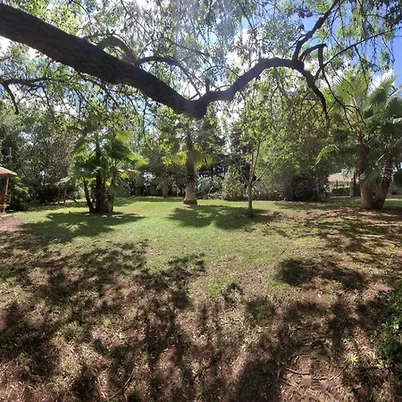 Les Jardins Du Patriarche Hotel Hotel