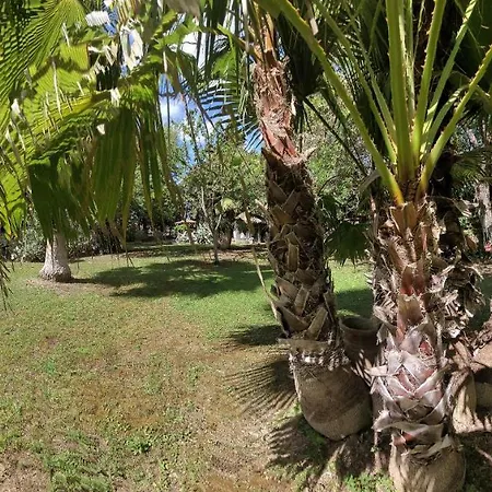 Hotel Les Jardins Du Patriarche Hotel