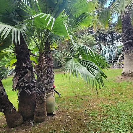 Les Jardins Du Patriarche מלון אגדה