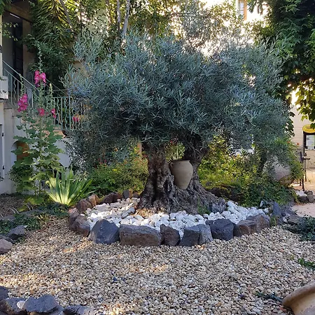 Les Jardins Du Patriarche 2* אגדה