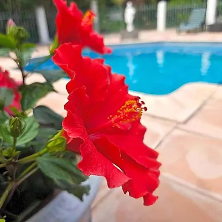 Les Jardins Du Patriarche מלון אגדה