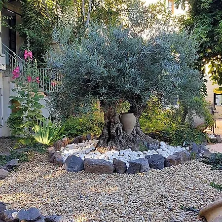 酒店 Les Jardins Du Patriarche 阿格德
