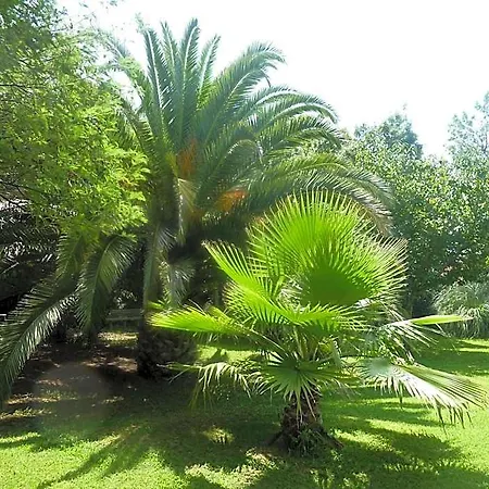Les Jardins Du Patriarche מלון אגדה