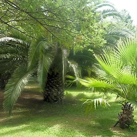 Les Jardins Du Patriarche