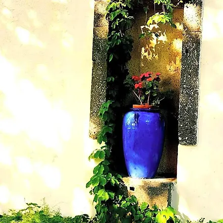 Les Jardins Du Patriarche 酒店 阿格德